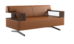 Двомісний диван Snite Skyline Коричневий Екошкіра SKYLINE_9851_M2_MC_0210